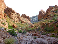 Rocky streambed