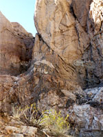 Brown cliffs