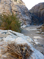 Stony streambed