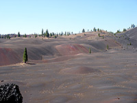 Edge of the Painted Dunes