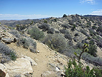Narrow ridge