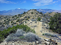 Panorama Trail