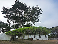 Pierce Point Ranch