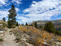 Level trail
