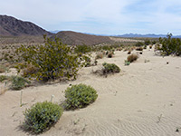 Sand dunes