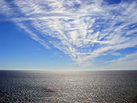 Cirrus clouds