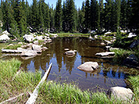 Pond along the trail