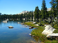 Edge of Polly Dome Lake