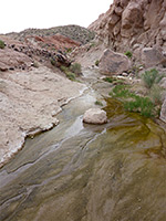 Algae-lined creek