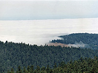 Coastal mist