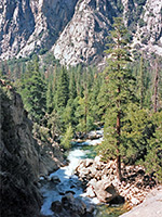 Downstream of Roaring River Falls