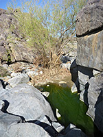 photograph
