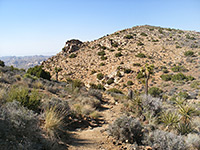 The trail, near the summit