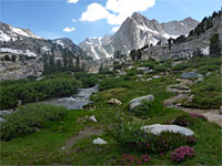 Path near Sailor Lake