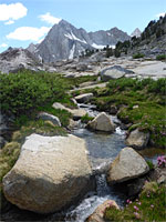 Stream from Sailor Lake