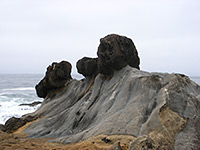Animal-like rocks