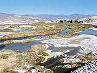 Salt Creek - view upstream