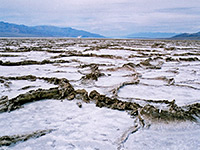 Salt formations