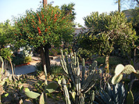 Gardens at San Gabriel Arcángel