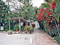 Central square of San Diego de Alcalá