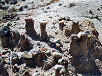 Pebbles on eroded sand