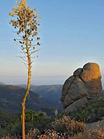 Sandstone Peak