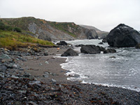 Shell Beach