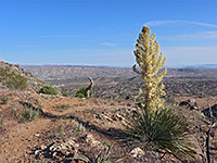 South Park Peak Trail