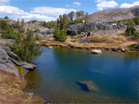 Pond near Steelhead Lake