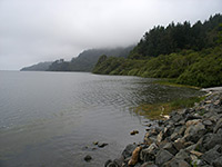 Edge of Stone Lagoon