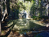 Cloudy pool in the forest