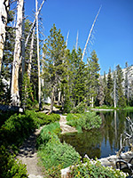 Trail by the water