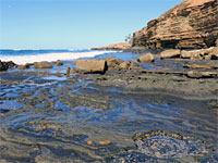 Intertidal terrace