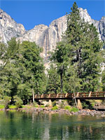 Trees by the bridge