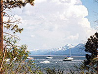 Sail boats on Lake Tahoe
