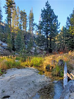 Tamarack Creek