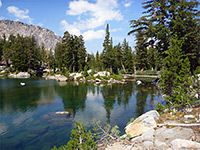 Trees and boulders