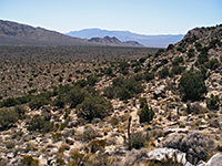 Teutonia Peak