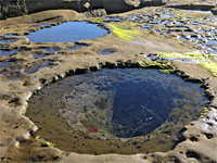 Two tide pools