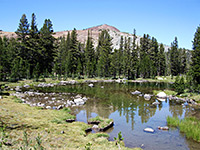 Pool near Tioga Pass