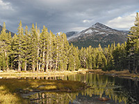 Pond by the Tioga Pass Road