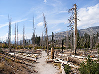 Rainbow Falls Trail