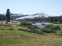 Tuolumne Meadows