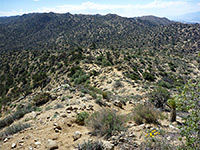 Warren Peak - view east