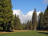 Wawona Golf Course