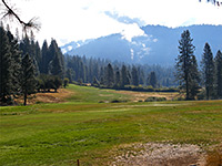 Wawona Meadow