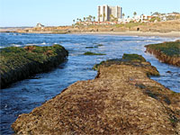 Whale View Point