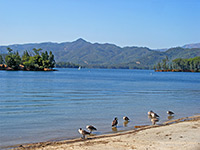 Beach on Whiskeytown Lake