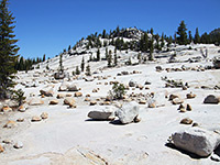 White boulders