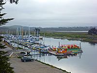 Marina at White Point